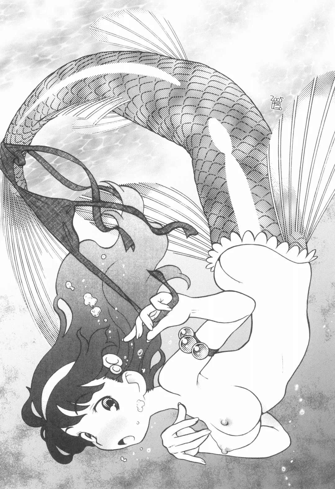 [Taryl.] Dextarity Fhentai - Page 12