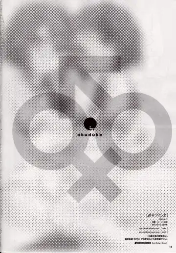 [Hazuki] Osumesu Twins Fhentai - Page 17