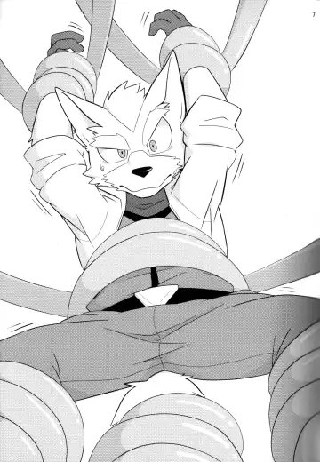 [Kai - Netiel] Fox McCloud Defeated Book Fhentai - Page 8