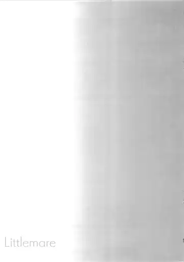 [Littlemare] Imouto ga Kawaisugiru! Fhentai - Page 21