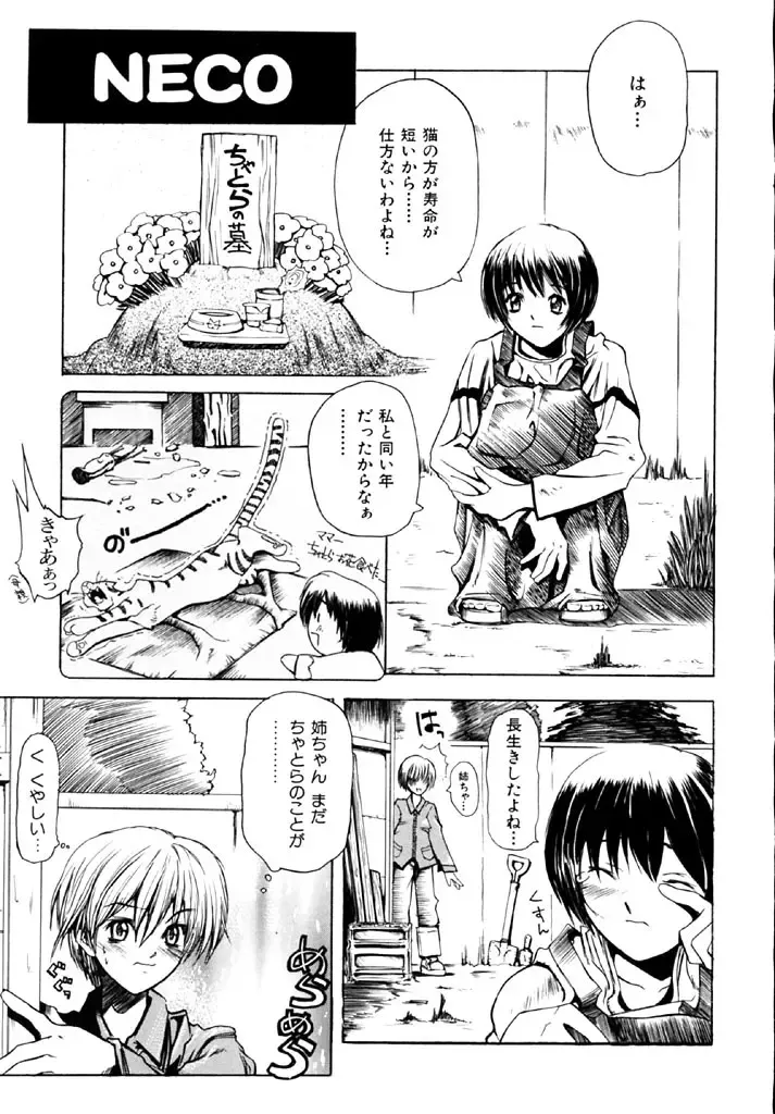 [Shinonome Tarou] Hanjuku Tanpatsu Musume Fhentai - Page 57