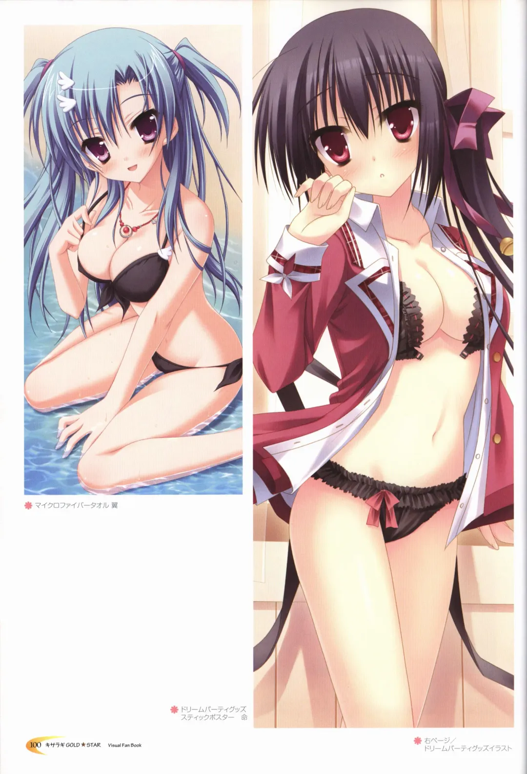 KisaragiGOLD★STAR Visual Fanbook Fhentai - Page 101