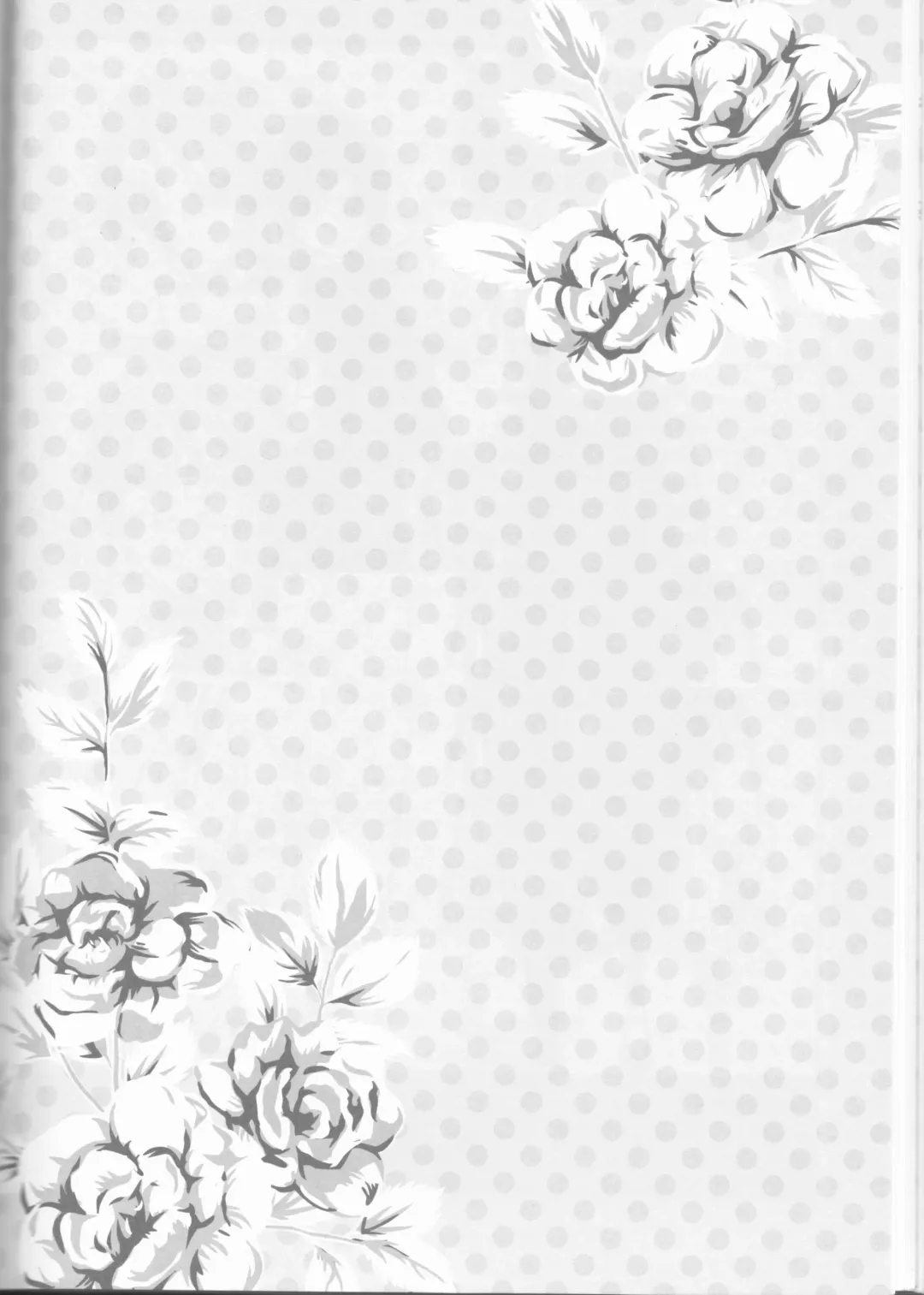 [Garakuta Sochi] Dream Passport Fhentai - Page 105