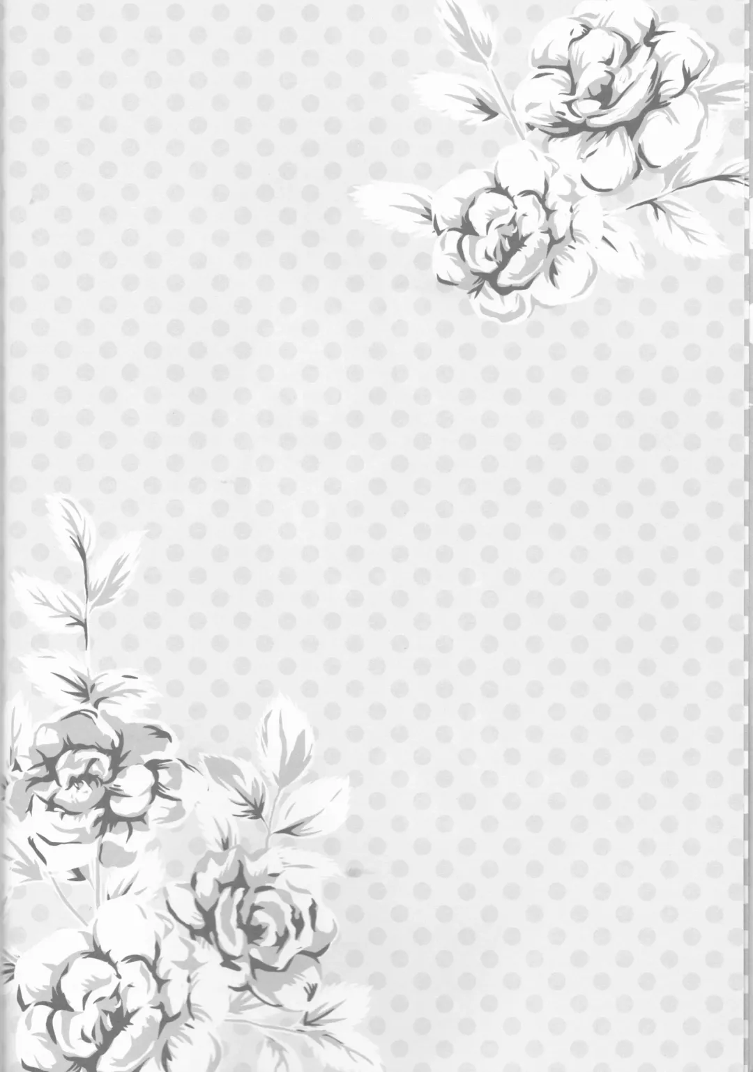 [Garakuta Sochi] Dream Passport Fhentai - Page 9