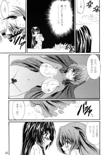 [Hikeshi No Kaze Zimbabwe] Lanza del Amor Fhentai - Page 23