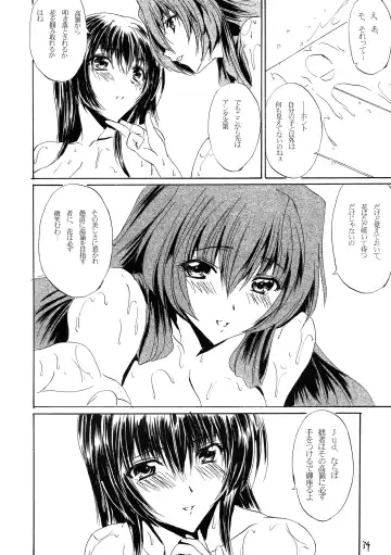 [Hikeshi No Kaze Zimbabwe] Lanza del Amor Fhentai - Page 34