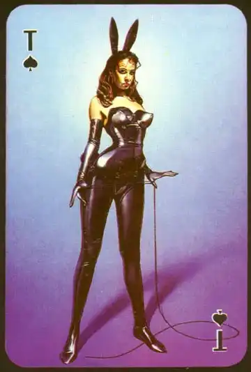 [Sorayama Hajime] Deck of Cards Fhentai - Page 11