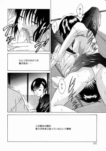 [Shimamoto Kaoru] Kinshinkyoai Fhentai - Page 37