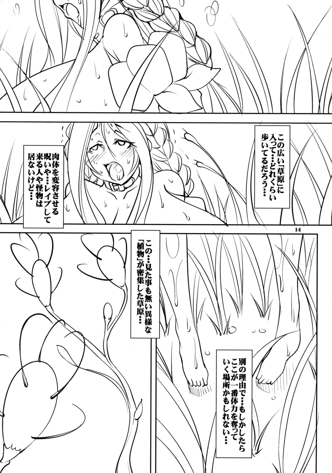 [Mikoshiro Honnin] Quest of Curse Dai 2-shou Fhentai - Page 14