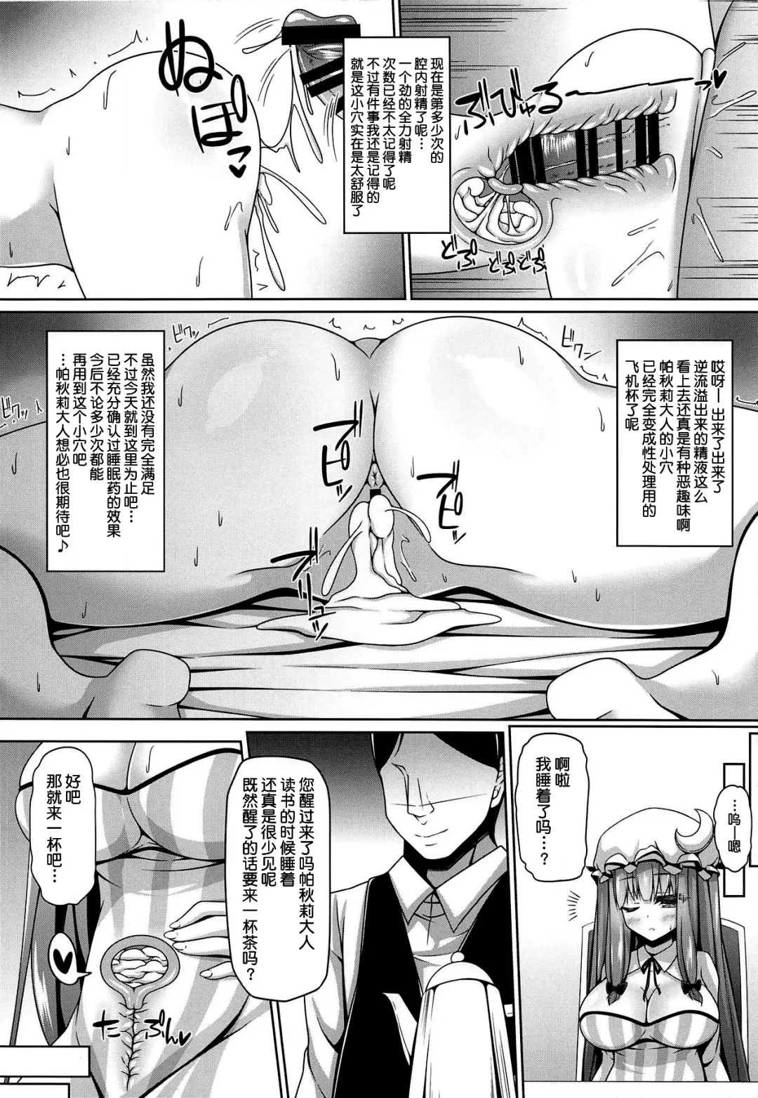[Sakai Minato] Neteiru Patchouli ni wa Nani o Shite mo Yoi Fhentai - Page 11