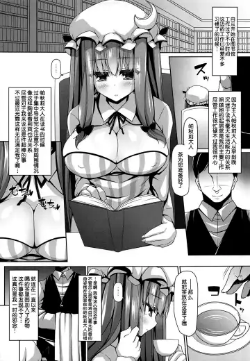 [Sakai Minato] Neteiru Patchouli ni wa Nani o Shite mo Yoi Fhentai - Page 4