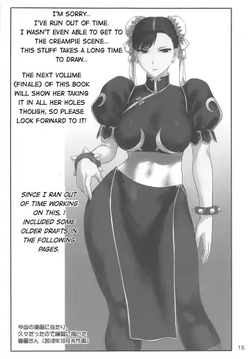 [St.germain-sal] Chun-Li Sousakan Sennyuu Sousa Kiroku Joukan Fhentai - Page 16