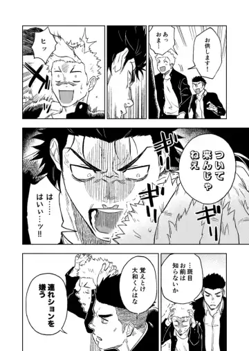 [Haiki] Dainarishounari Fhentai - Page 5