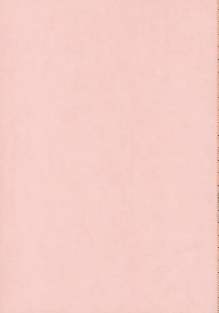 [Hironii] FINAL RED IMPACT Fhentai - Page 2