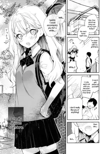 [Mutou Koucha] Tsundere Kanojo ga Sunao ni Naru Made Ecchi Fhentai - Page 4