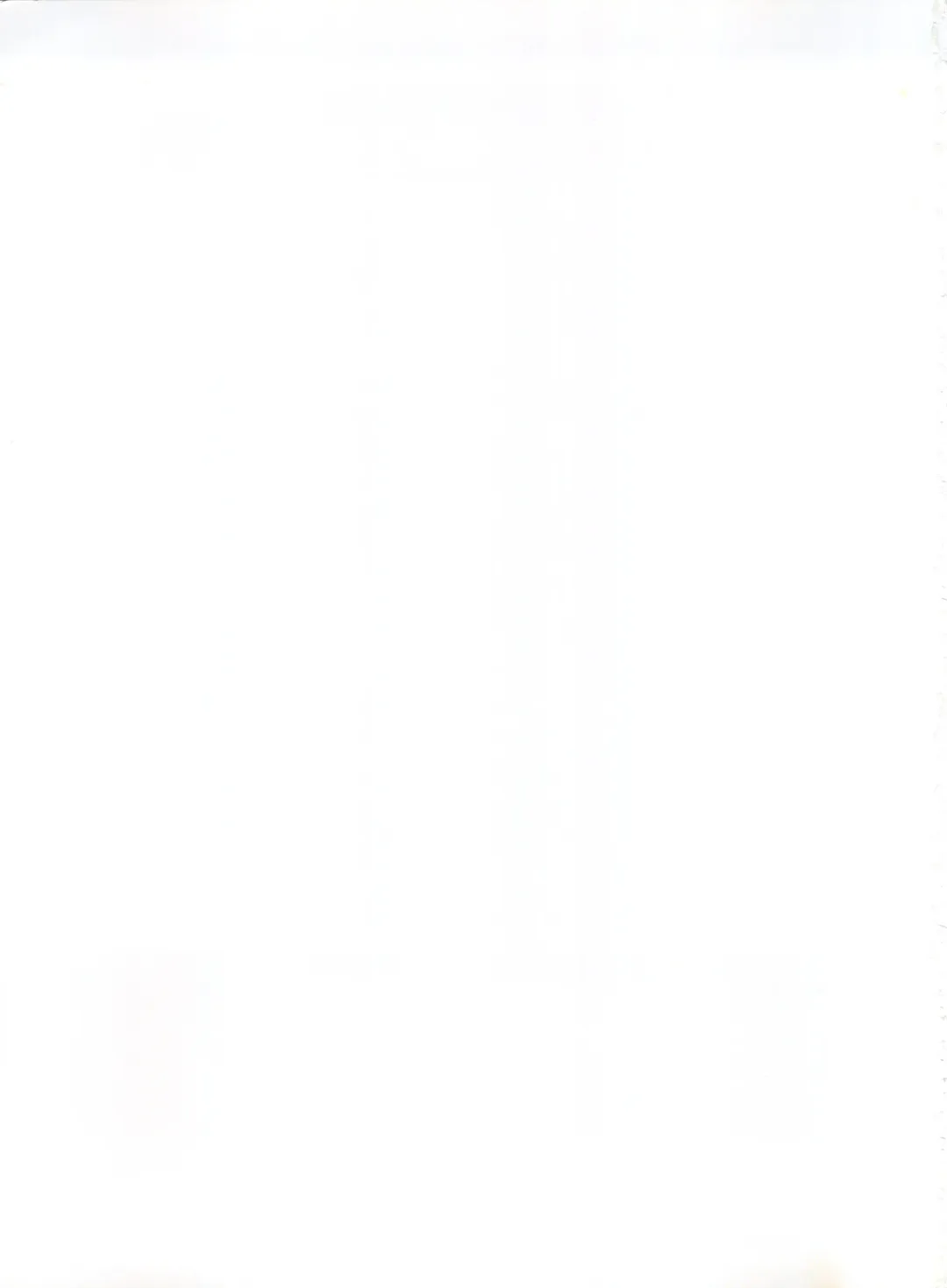 [Kawarajima Koh - Masa Ikku - Nekoshita Pong] Mahou Ame 3rd Fhentai - Page 99