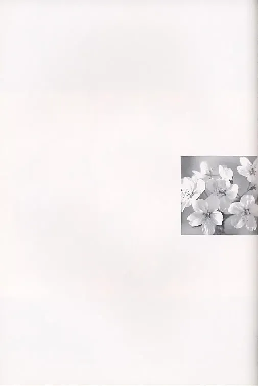 [Aizawa Hiroshi] Shiori Soushuuhen Fhentai - Page 9