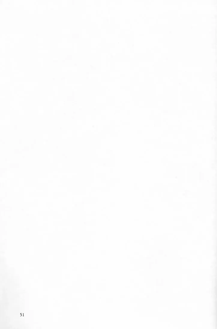 [Aizawa Hiroshi - Iwasaki Hiromasa] Shiori Dai-Yon-Shou Futarime no Jushin Fhentai - Page 50