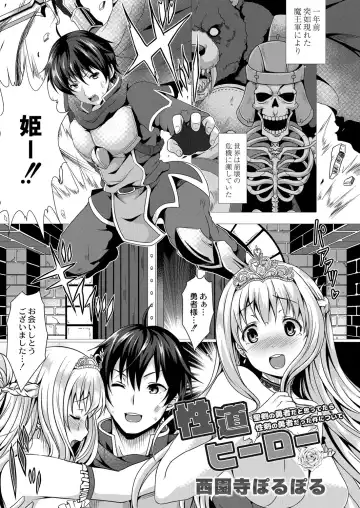 [Saionji Poruporu] Seidou Hero 1 Seiken no Yuusha da to Omottetara Seiken no Yuusha datta Ken ni Tsuite Fhentai - Page 3