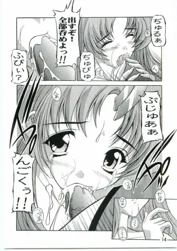 [Natsuka Q-ya] Lacus Mark Two / Lacus ma Kutou Fhentai - Page 13