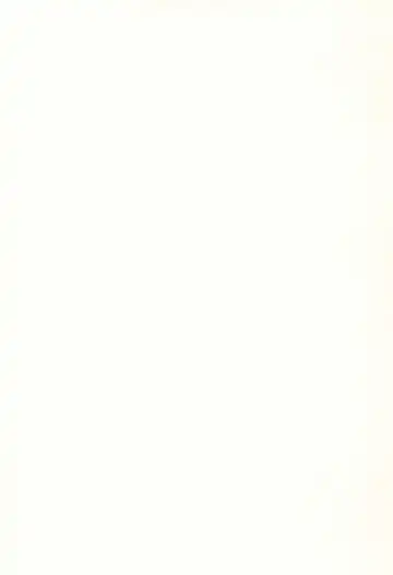 [Mayafufu -kakko- Kashikoi] Koran to Ishikawa Fhentai - Page 28