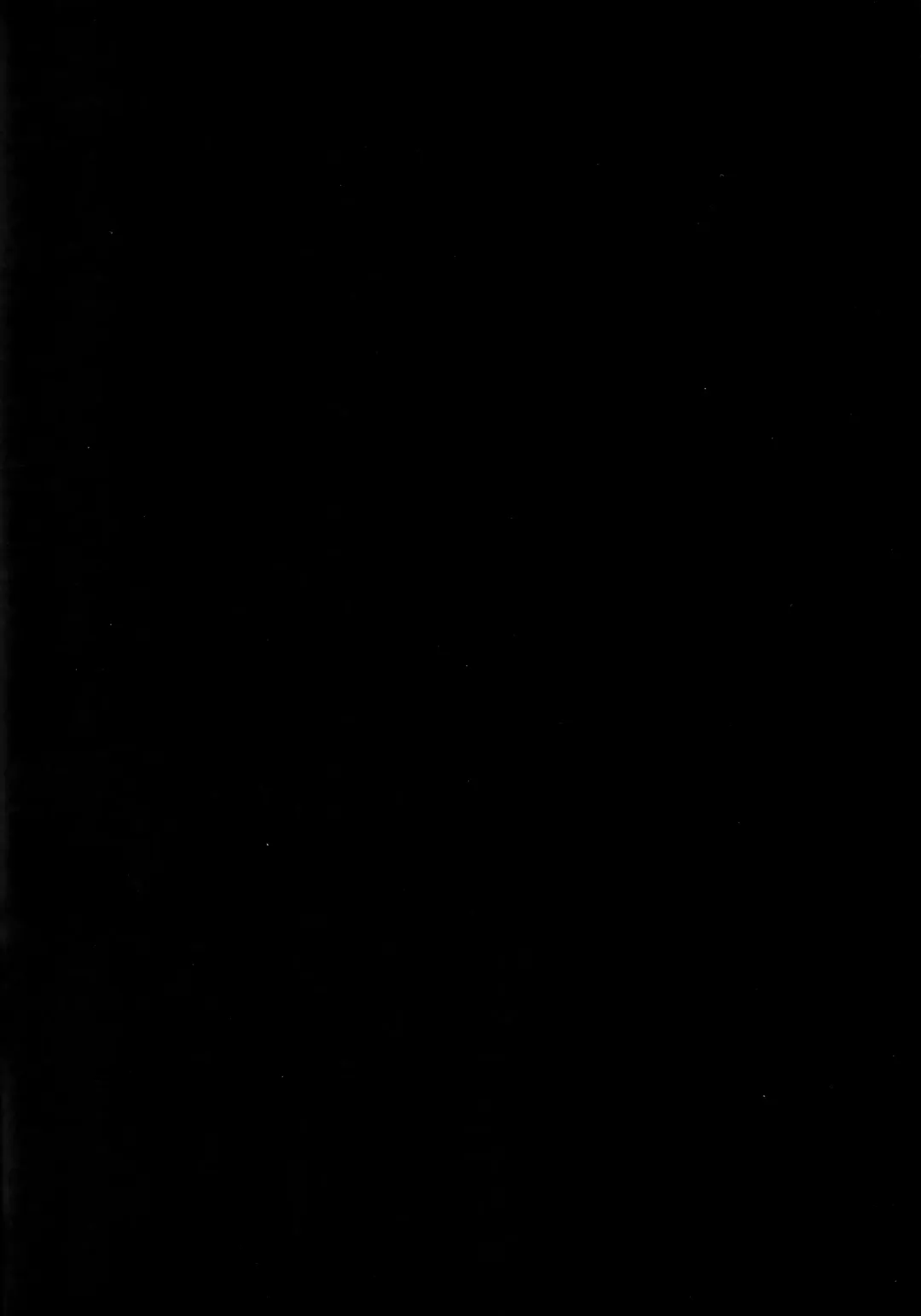 [Nana Shinshi] Haha Oni Kantsuu Fhentai - Page 3