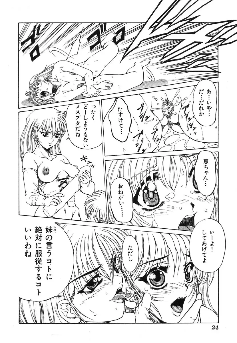 Shigyaku Shikou Fhentai - Page 27