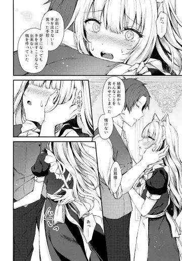 [Tetsuyama Kaya] Moto Dorei no Nekomimi Maid to Shiawase Ecchi Suru Hon Fhentai - Page 11
