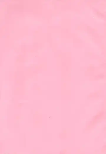 [Kojima Video] Ochikobore Succubus Fhentai - Page 3