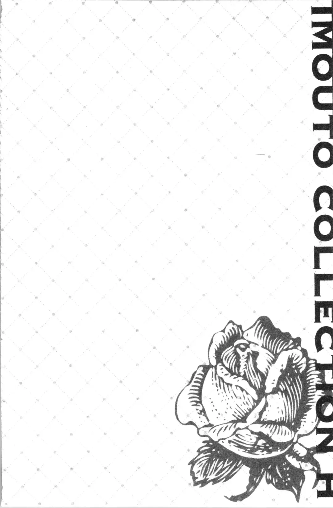 [Saikawa Yusa] IMOUTO COLLECTION H Fhentai - Page 28