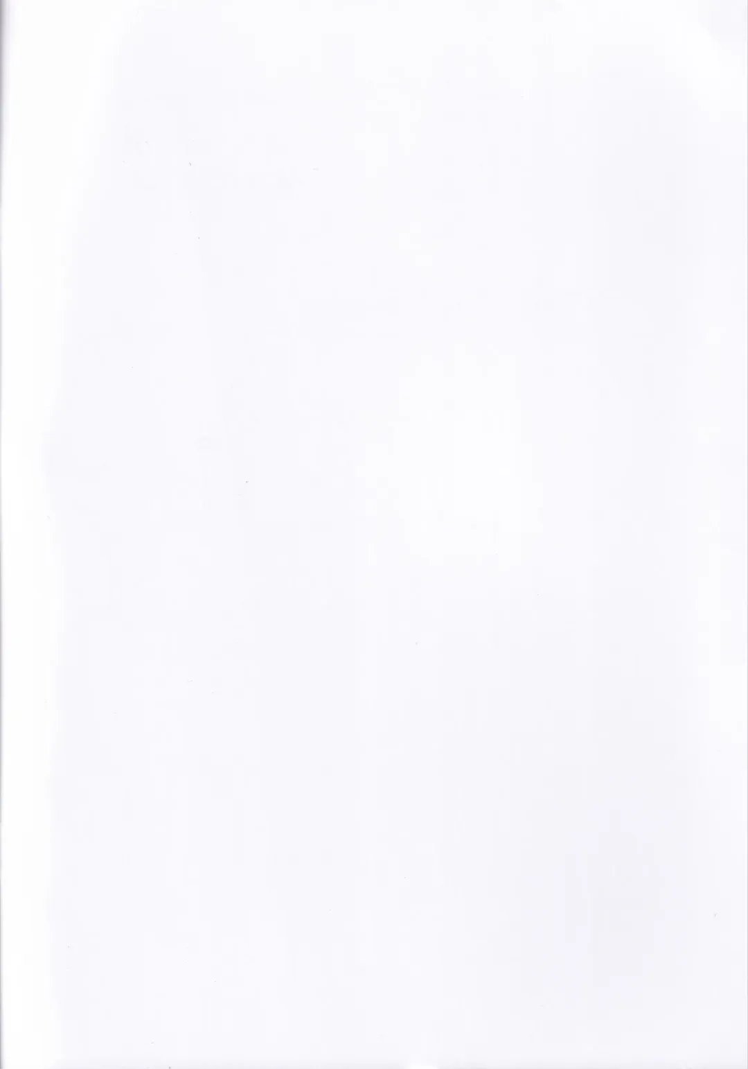 [Nishieda] Pokecos Fhentai - Page 11