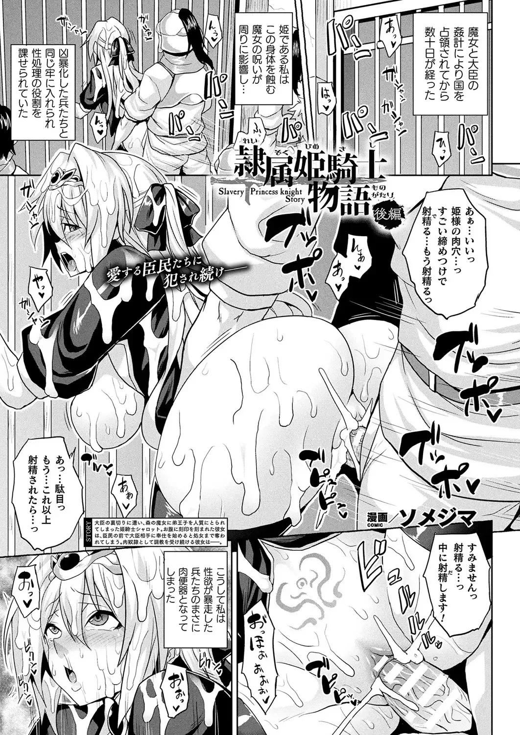 [Somejima] Reizoku hime kishi monogatari Fhentai - Page 13