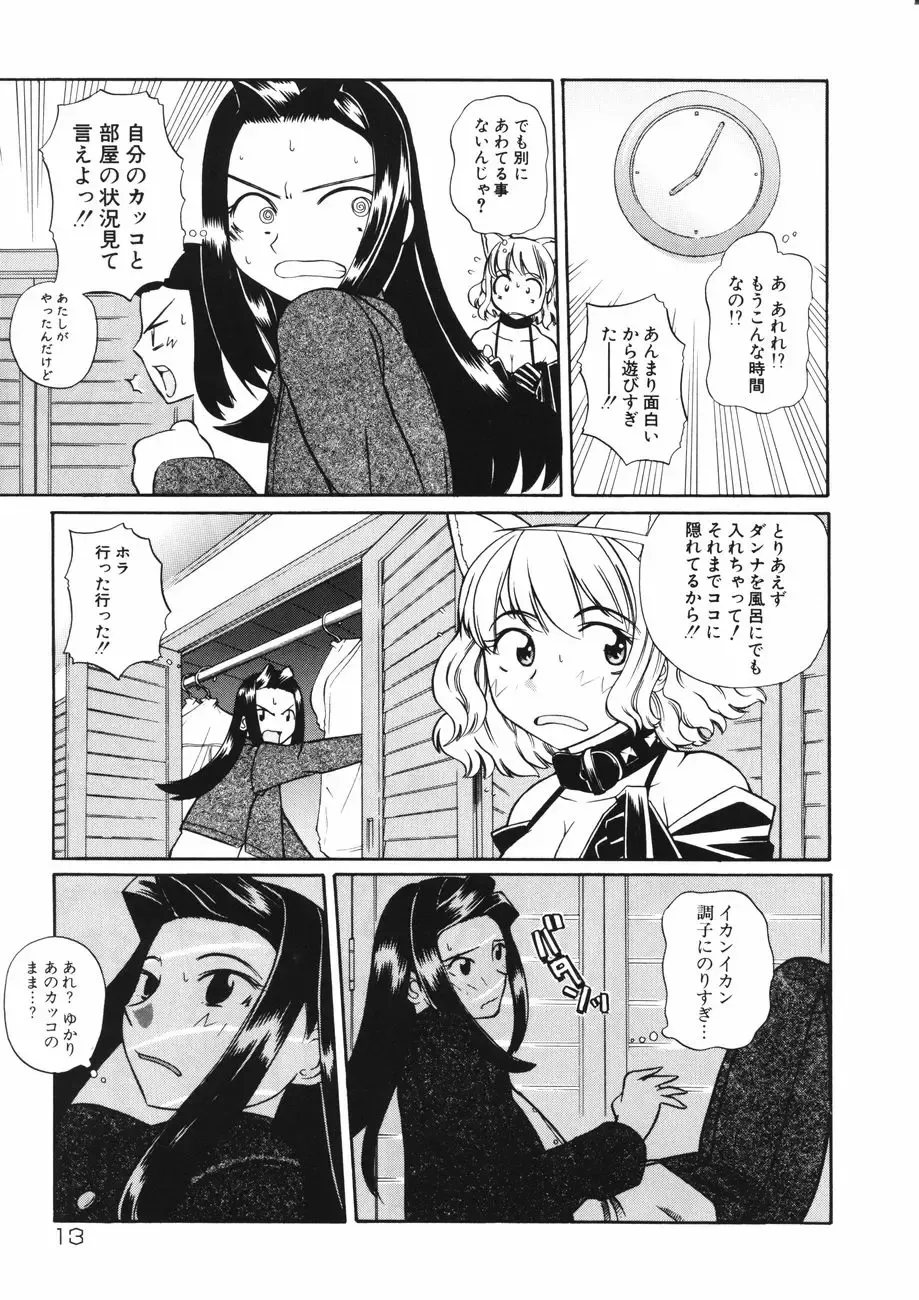 [Touge Hiro] Mesuniku no Inshuu Fhentai - Page 17