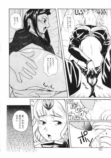 [Touge Hiro] Mesuniku no Inshuu Fhentai - Page 24