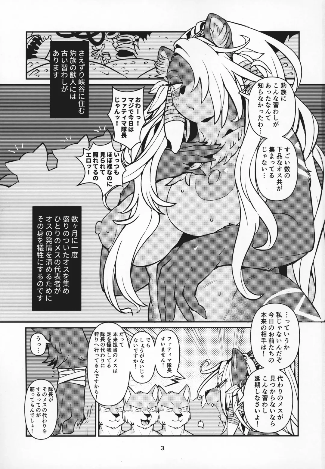 [Sindoll] Fatima Carnival Fhentai - Page 2