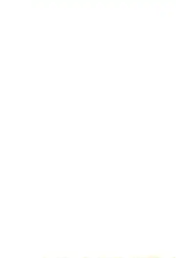 [Kuri Kinoko - Pia Rumi - Tachibana Asari] Kodomo no Rakuen Fhentai - Page 43