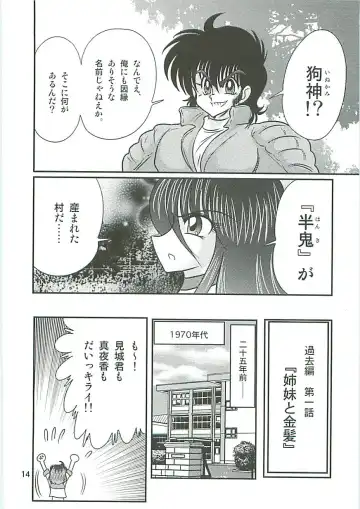 [Kamitou Masaki] Seirei Tokusou Fairy Saber W Inukami to Innyuu Fhentai - Page 17
