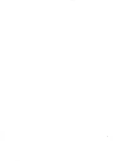 [Kawa] Dekoboko LOVE Sister Soushuuhen Fhentai - Page 4