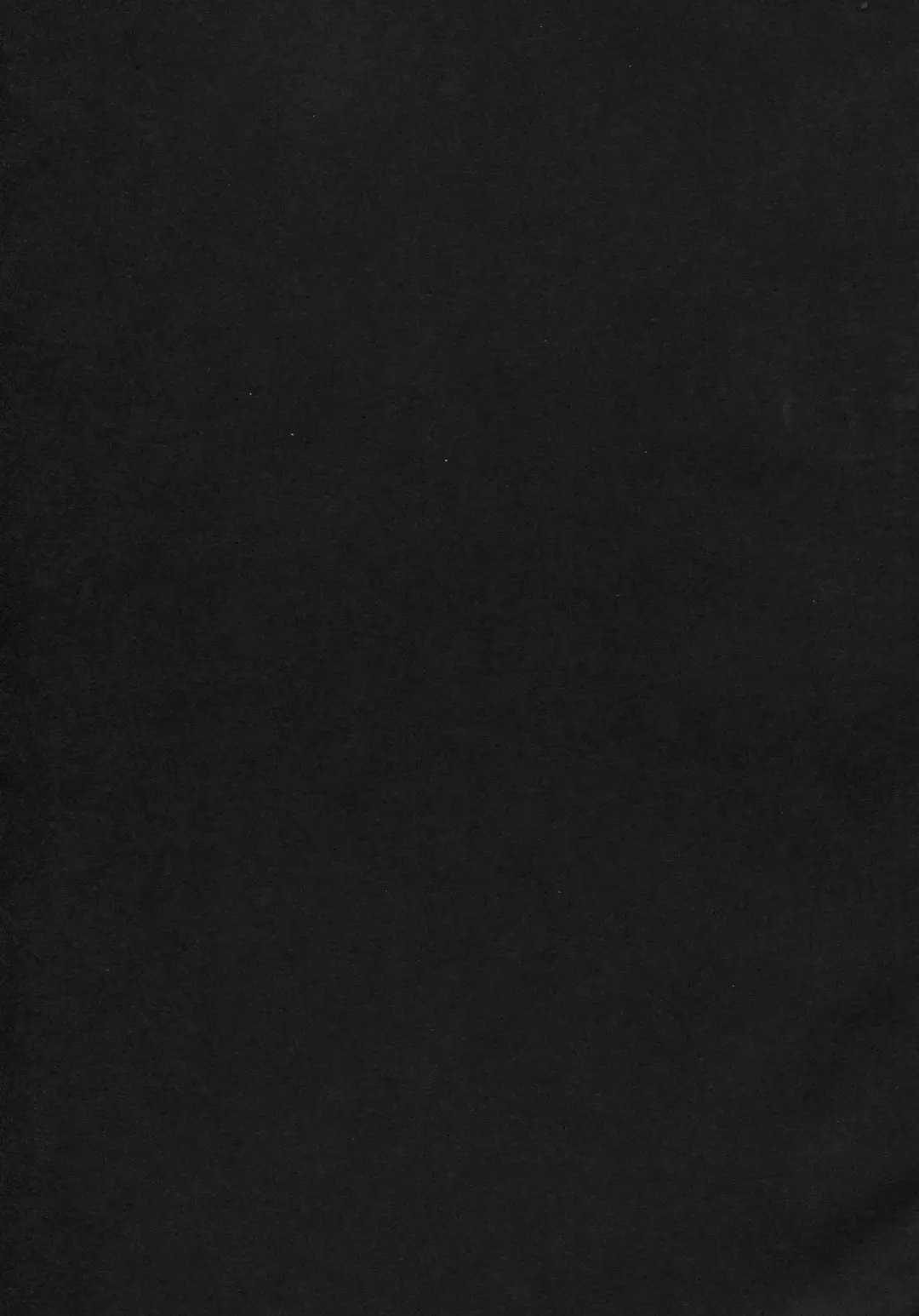 [Ahobaka] Aisuru Hinba ga Tanetsuke Sarete (decensored) Fhentai - Page 35