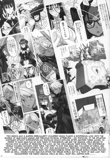 [Raita] Mahou Shoujo 20.0 Fhentai - Page 2