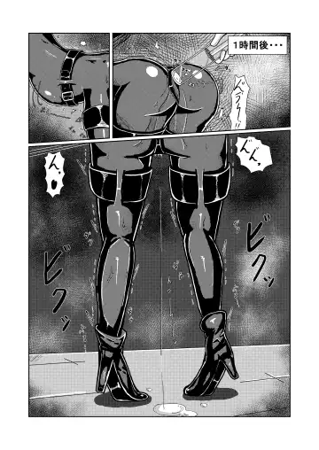 [Runo] Serina-san no Oningyou Asobi Fhentai - Page 13