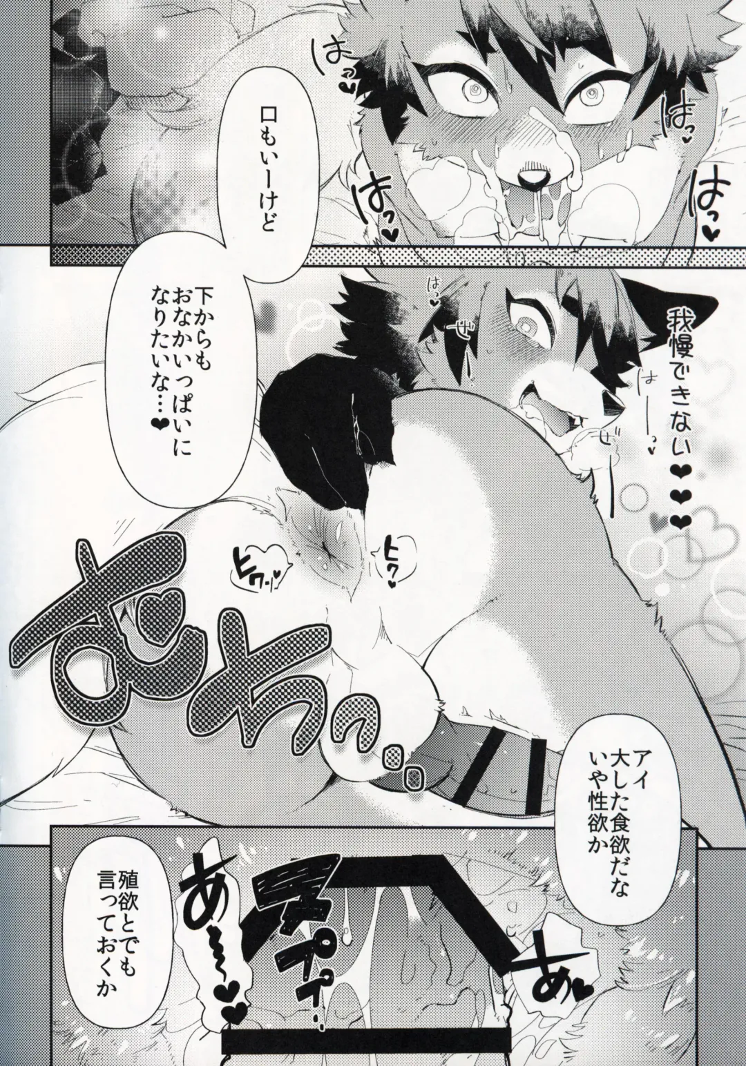[Shiroi] Kitsune no Shounen Ai Kori Muchuu -Bangai- Fhentai - Page 11