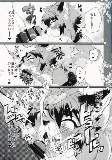 [Shiroi] Kitsune no Shounen Ai Kori Muchuu -Bangai- Fhentai - Page 10