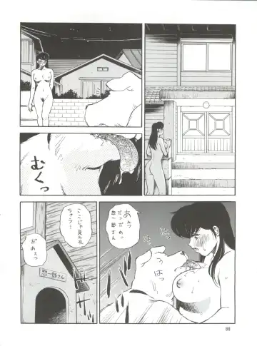 NEXT Climax Magazine 7 - RUMIC WORLD Fhentai - Page 88