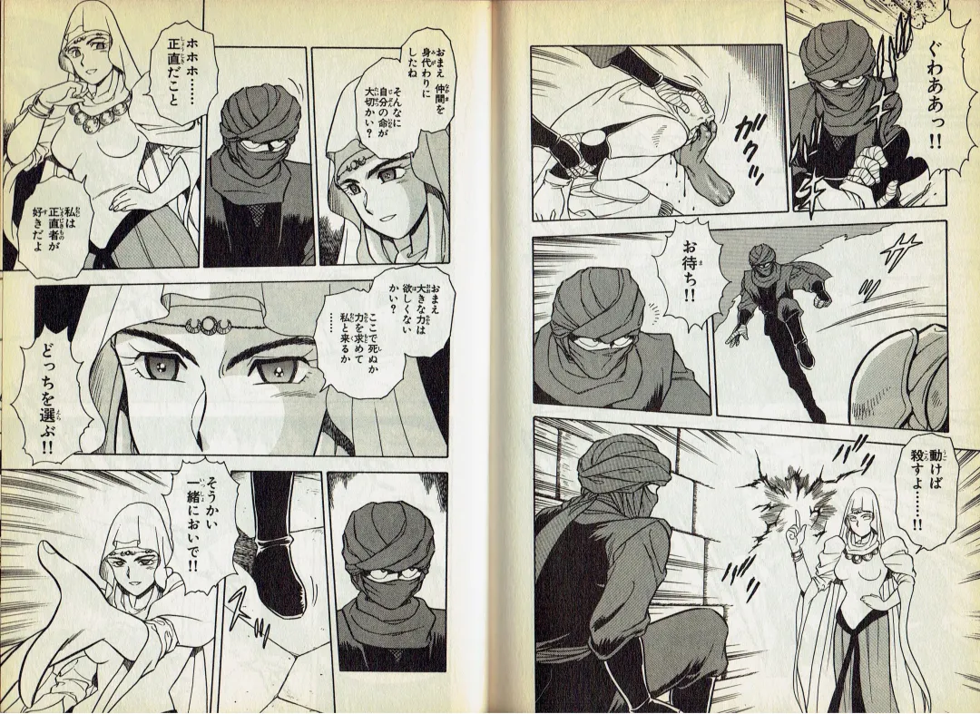 [Shinozaki Rei] Wizardry V - Beyondt the Maelstrom Fhentai - Page 11