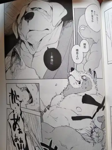 [Kamado] Suzunari no Katakagi San Fhentai - Page 36