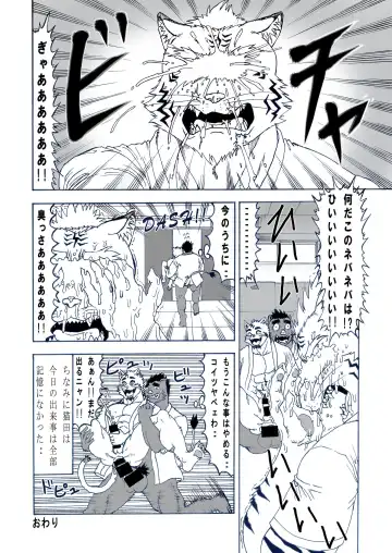 [Hiru wa Salaryman (Oka Miyabi) Hatsujou Nyanko Nekota [Digital] Fhentai - Page 17