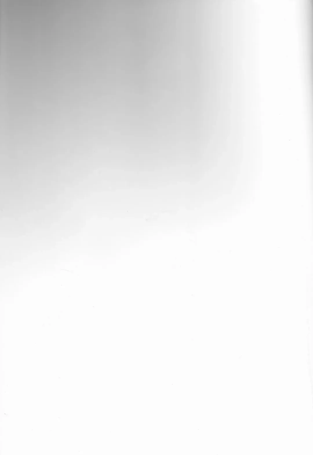 [Elesake] Orutana no Uzu Fhentai - Page 3