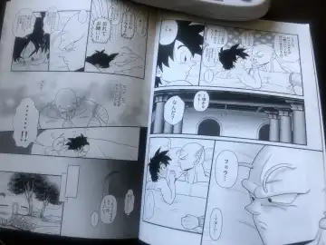 Piccolo pussy Fhentai - Page 45