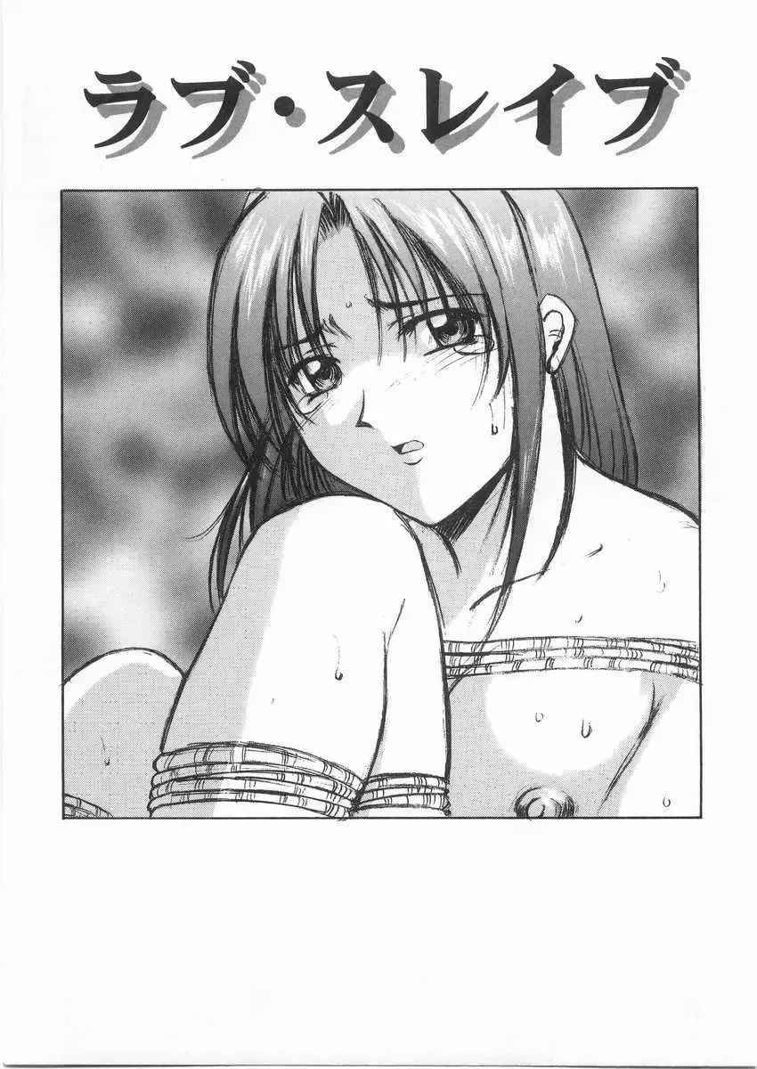 [Hoshino Ryuichi] Etsuraku no Ikenie Fhentai - Page 92